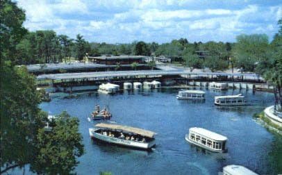 Silver Springs, carte poștală din Florida