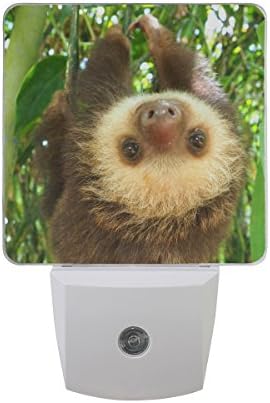 Set de naanle de 2 bebeluși Sloth Hanging Tree Senzor Auto Senzor LED Dusk la Dawn Night Light Plug în interior pentru adulți