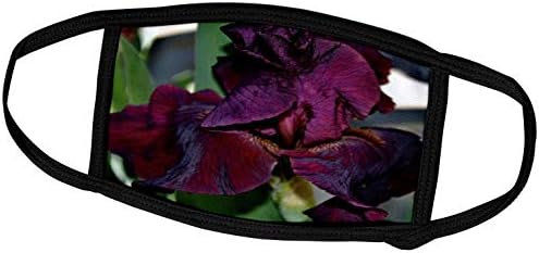 3drose Iris bogat colorat un Iris care are o colorare profundă bogată-Huse pentru față