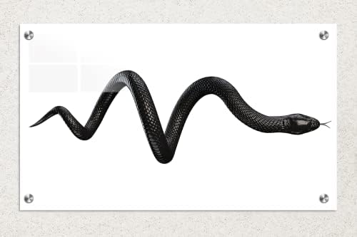 Cadru de sticlă acrilică șarpe de artă de perete modernă - Animale în seria sălbatică alb -negru - design interior NFT - Artă