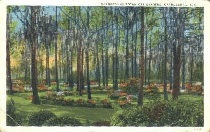 Carte poștală Orangeburg, Carolina de Sud