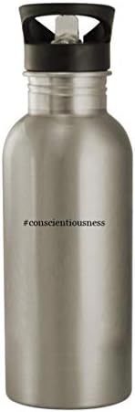 Cadouri Knick Knack conscientiousness - Sticlă de apă din oțel inoxidabil 20oz, argintiu