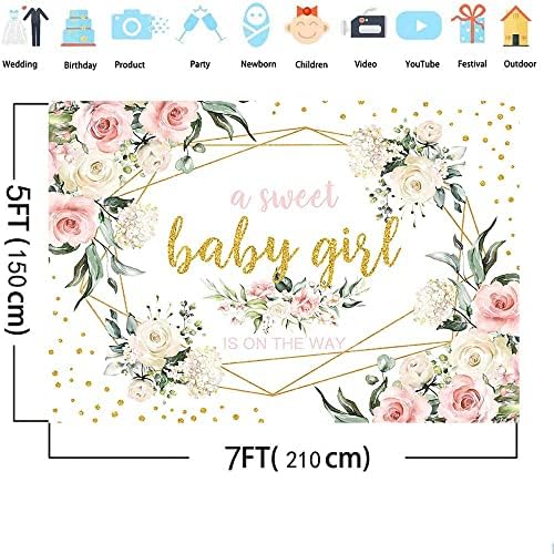 Aibiin Baby Shower Girl fundal Floral, este o fată Baby Shower fundal Banner, o fetiță dulce este pe drum Backdround, roz Floral