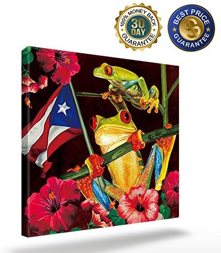 Panta pictură perete Decor-broască Puerto Rico Flag Floral Vivid, Artă de perete picturi pentru imprimeu pentru casă/living/dormitor