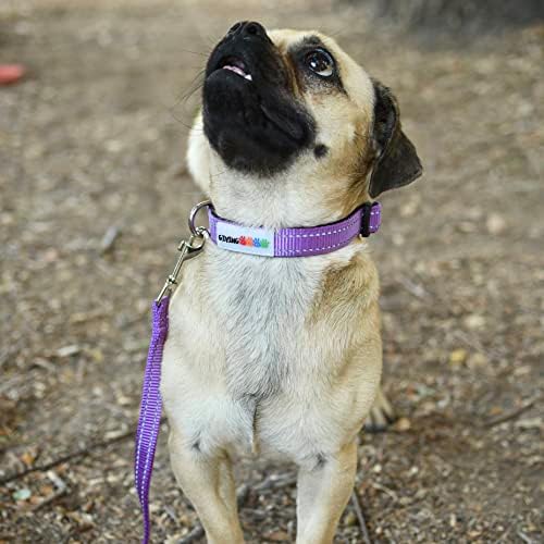 Dând labe - Guler de câine din nailon pa căptușit reflectorizant - Dă înapoi la animale de companie care au nevoie - Nepren confortabil căptușit, reglabil și durabil guler pentru câini mici