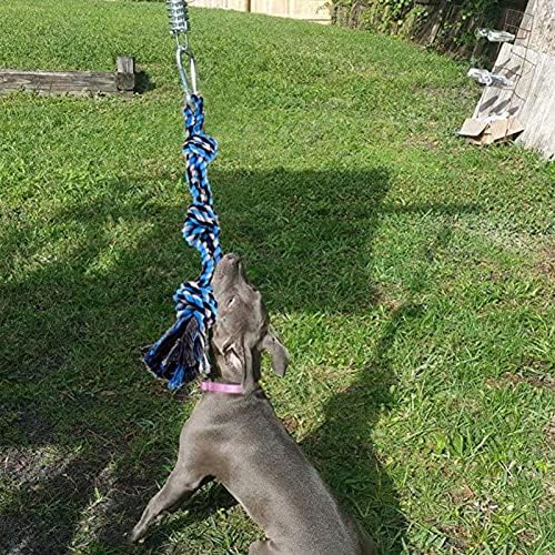 Jucărie interactivă pentru câini în aer liber cu pene