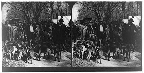 HistoricalFindings Foto: Reproducere, Fox Hounds, Prairie Wolves, Grey Fox, Hunting Camp, Kansass, KS, c1904