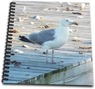 3DROSE DB_165209_2 SEAGULL Stand pe Dock of the Bay Memory Book, 12 cu 12-inch