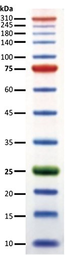 Tri-Color extra mare Marker de proteine Pretained, 5x500ul