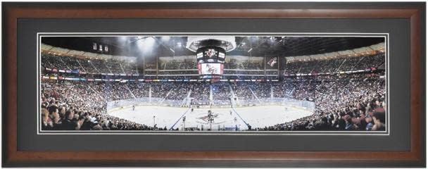 Phoenix Coyotes Joc inaugural încadrat Fotografie panoramică nesemnată - NHL Team Plaques and Collages