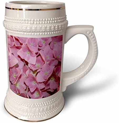 3Drose Pink Hydrange Flori Flowers Close Up - 22oz Stein Mug