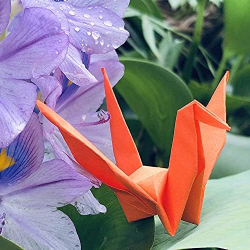 100pcs 5,9 Premade Rainbow Origami Macarale pliate Origami Păsări pentru petreceri de nuntă Favorizați centru de naștere pentru