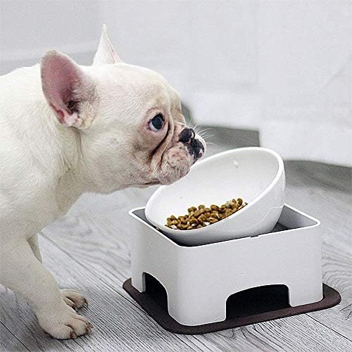 Boluri portabile pentru câini din ceramică pentru hrană și apă, 150 ml bol de alimentare pentru animale de companie Design