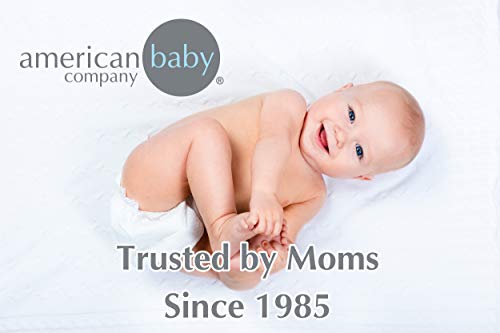 American Baby Company 30 X 40-pătură moale bumbac natural termică / vafe, lavandă, moale respirabilă, pentru fete