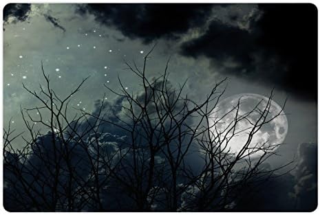 Lunarable Night Sky pet Mat pentru hrană și apă, ramuri uscate nocturne copac în deșert lună plină stele la fața locului imagine ceață, dreptunghi covoraș de cauciuc antiderapant pentru câini și pisici, alb-negru