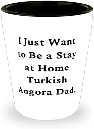 Pisica sarcastică turcă Angora, Vreau doar să fiu un sejur acasă tată turc Angora, ziua de naștere nepotrivită de la iubitorii