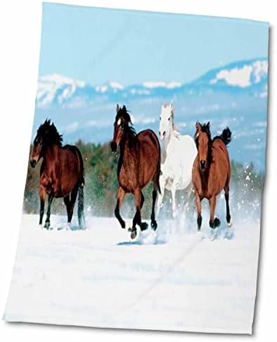 3drose cai frumoase rulează în prosop de zăpadă, 15 x 22, Alb