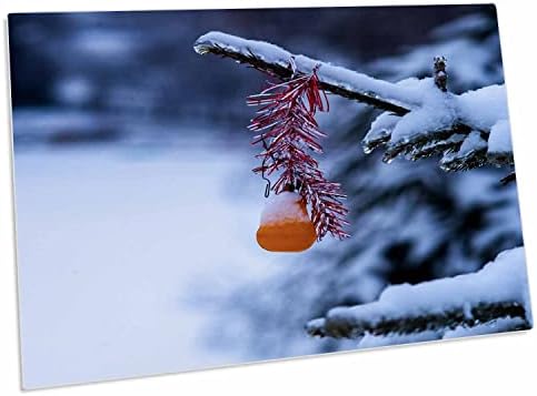 3 Doroză ornament portocaliu pe un arbore de molid acoperit de zăpadă iarna. - covorașe pentru birou pentru birou