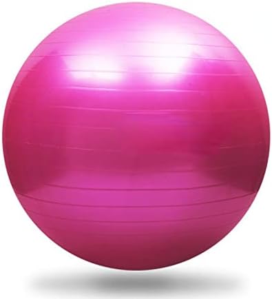 WeiSha 55cm Yoga Ball Sport Fitness Ball PVC Balance Balance Mat yoga modelarea gros Yoga Ball Roz