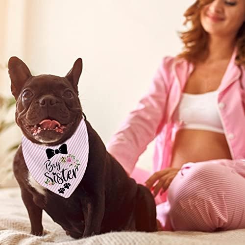 Big Sister Dog Bandanas anunț de sarcină, Pet Photo Prop pentru anunțarea copilului, Puppy Bandana, gen dezvăluie Petrecere
