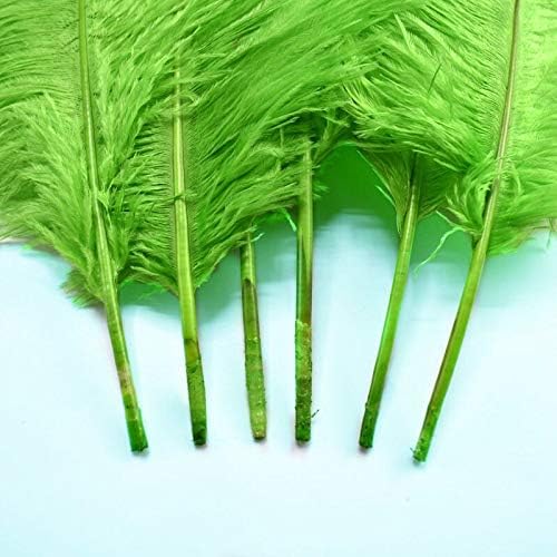 Meșteșuguri 15-70cm pene verzi de struț pene mari naturale pene de struț DIY acasă nunta Plumas decorare-100 buc-Zamihalaa